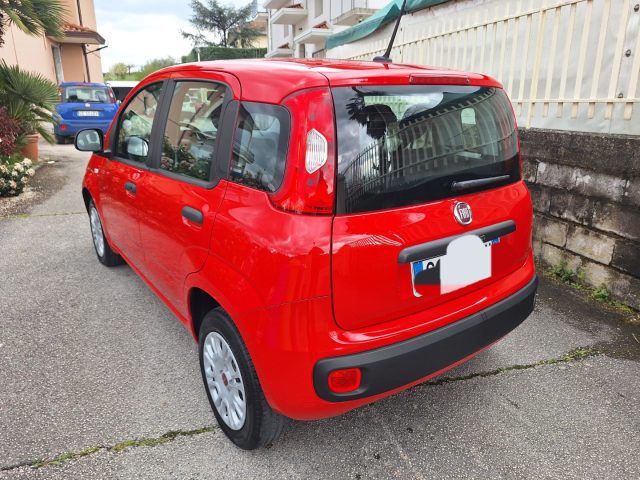 Fiat Panda 1.2 Easy *69 cv * 4 cilindri - foto 3 di 4