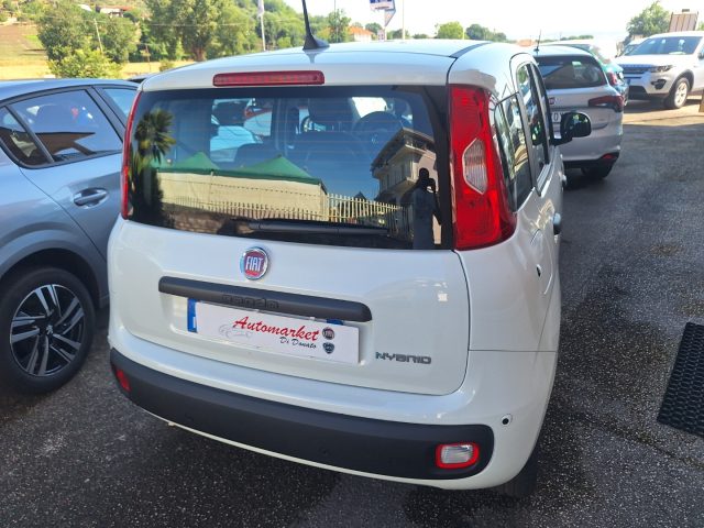 Fiat Pandina 1.0 FireFly 65 CV Hybrid Icon *km 0* - foto 3 di 4