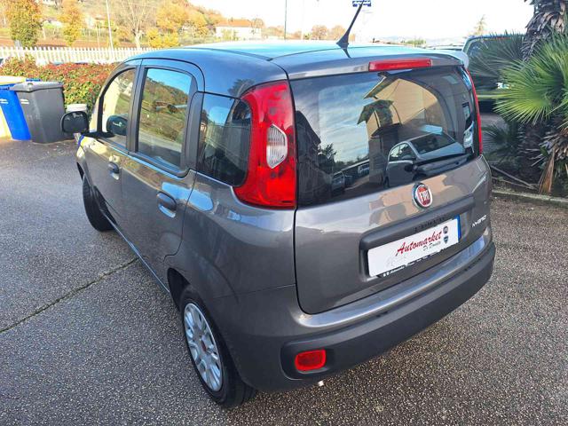 Fiat Panda 1.0 FireFly S&S Hybrid - foto 2 di 4