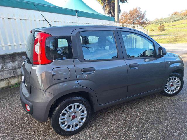 Fiat Panda 1.0 FireFly S&S Hybrid - foto 4 di 4