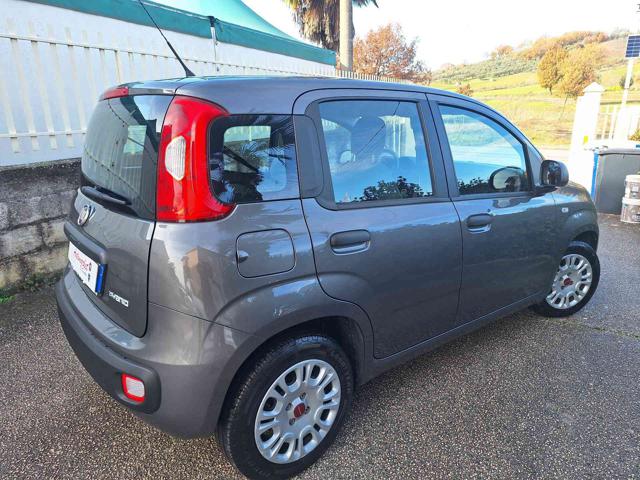 Fiat Panda 1.0 FireFly S&S Hybrid - foto 3 di 4