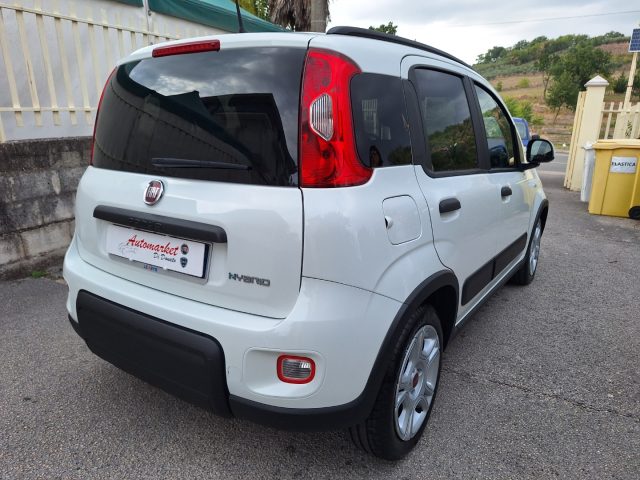 Fiat Panda 1.0 FireFly S&S Hybrid - foto 4 di 4