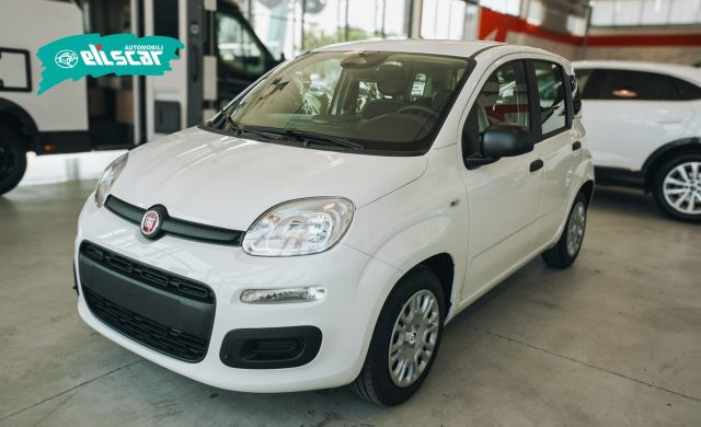 Fiat Pandina 1.0 FireFly 65 CV Hybrid Icon - foto 2 di 4