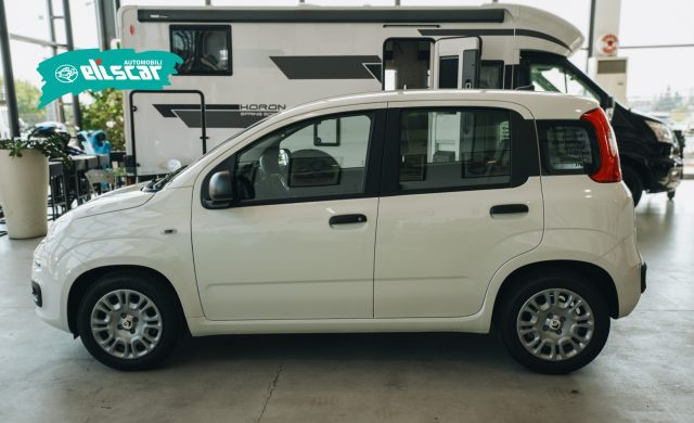 Fiat Pandina 1.0 FireFly 65 CV Hybrid Icon - foto 3 di 4