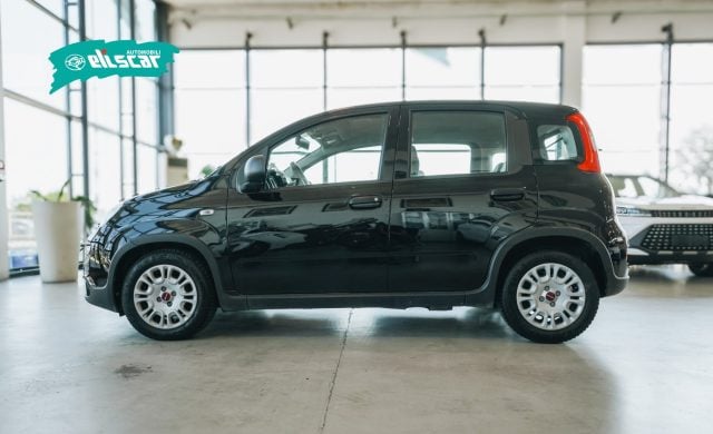 Fiat Panda 1.0 FireFly S&S Hybrid - foto 4 di 4