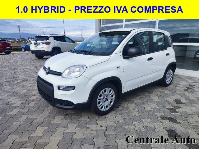 Fiat Panda 1.0 FireFly S&S Hybrid usato a MONTECCHIO MAGGIORE