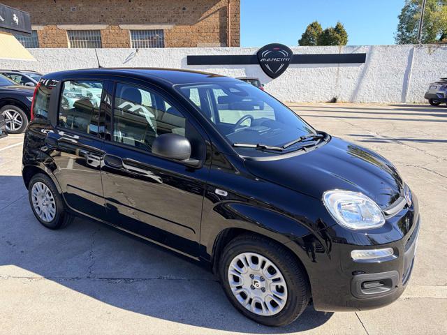 Fiat Panda 1.0 FireFly S&S Hybrid Pandina - foto 3 di 4