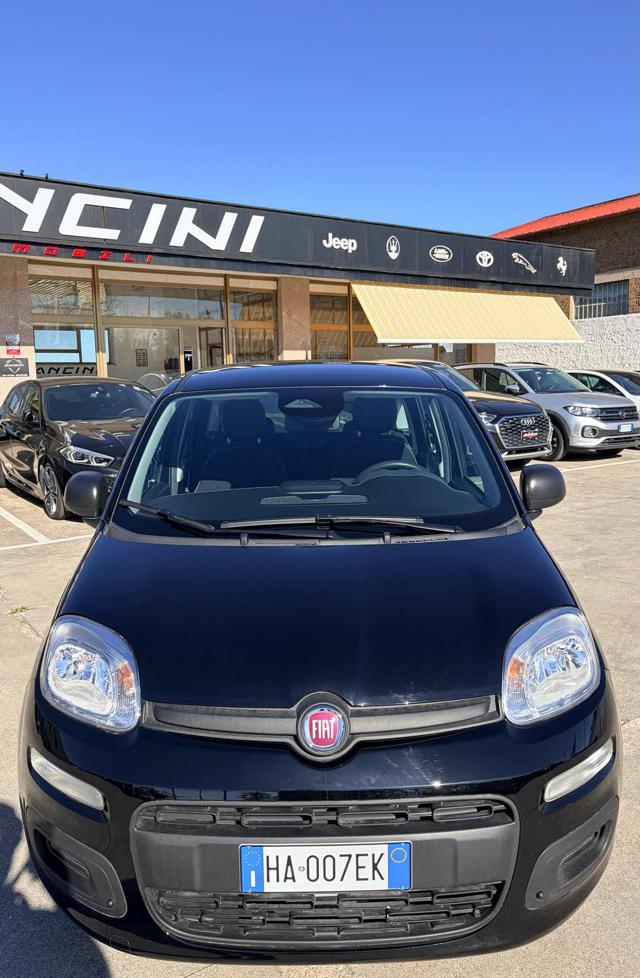 Fiat Panda 1.0 FireFly S&S Hybrid Pandina - foto 2 di 4