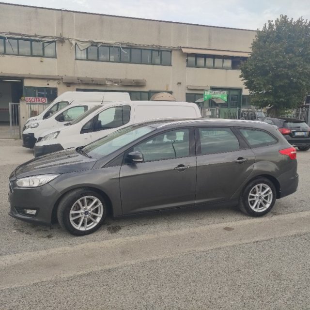 Ford Focus 2.0 TDCi 150 CV SW Business usato a MARTINSICURO