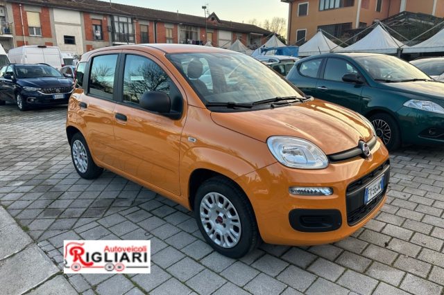 Fiat Panda Panda 1.2 Pop usato a TEANO