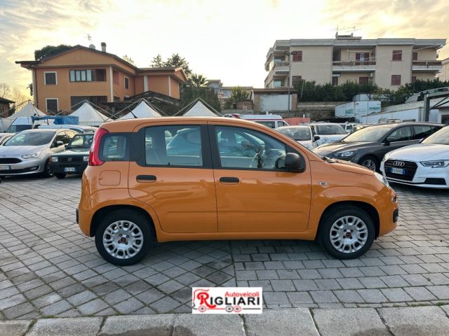 Fiat Panda Panda 1.2 Pop - foto 2 di 4