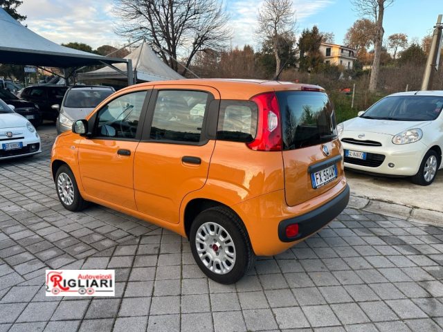 Fiat Panda Panda 1.2 Pop - foto 4 di 4