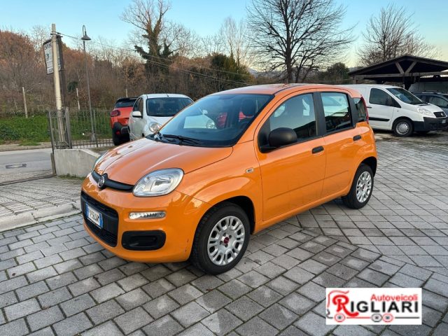 Fiat Panda Panda 1.2 Pop, del 2019, 74.000 km, in vendita a Teano (CE)