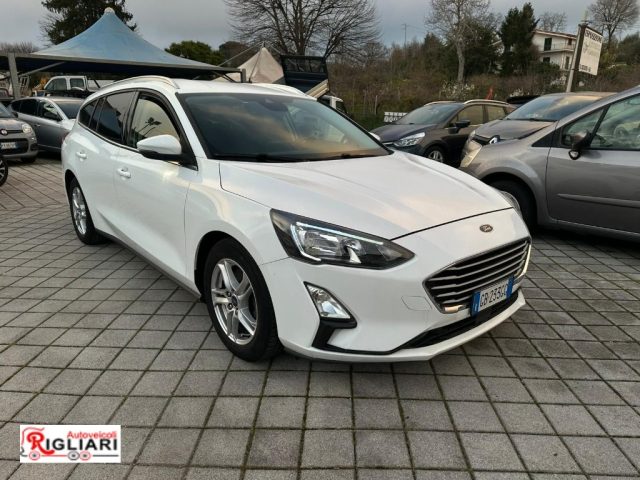 Ford Focus 1.5 EcoBlue 120 CV automatico SW Business Co-Pilot usato a TEANO