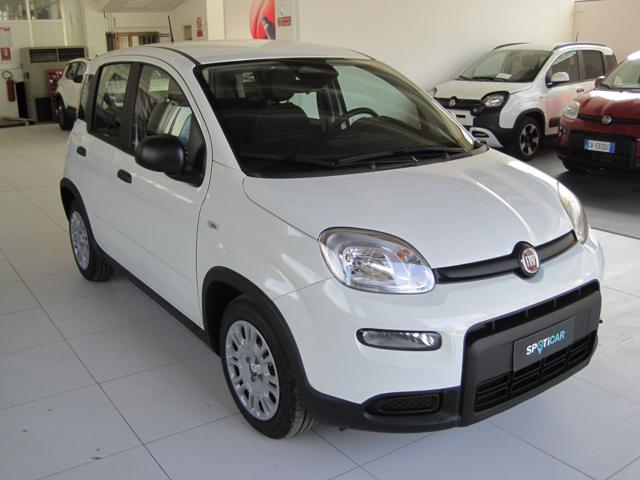 Fiat Panda 1.0 FireFly S&S Hybrid - foto 3 di 4