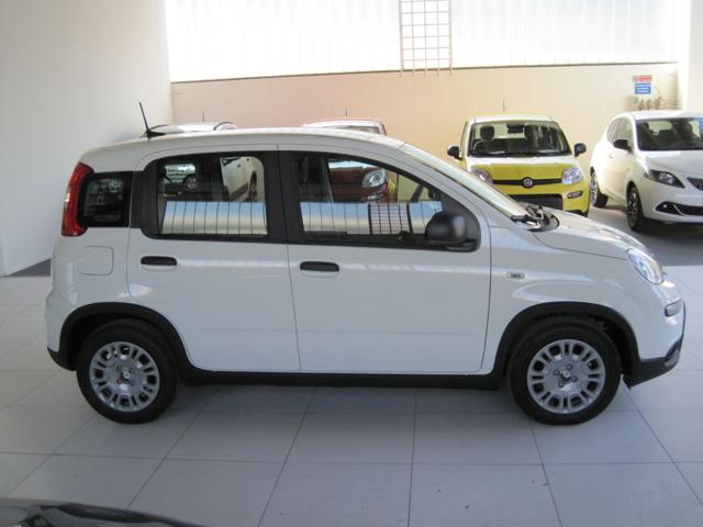 Fiat Panda 1.0 FireFly S&S Hybrid - foto 4 di 4
