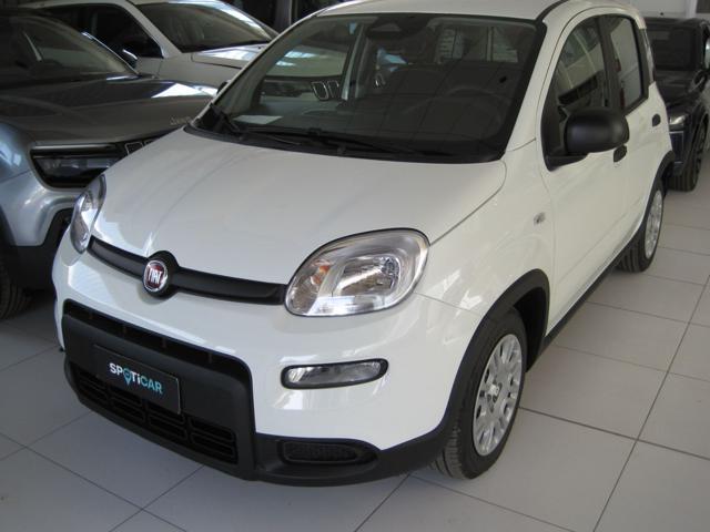 Fiat Panda 1.0 FireFly S&S Hybrid km 0 a TORTONA