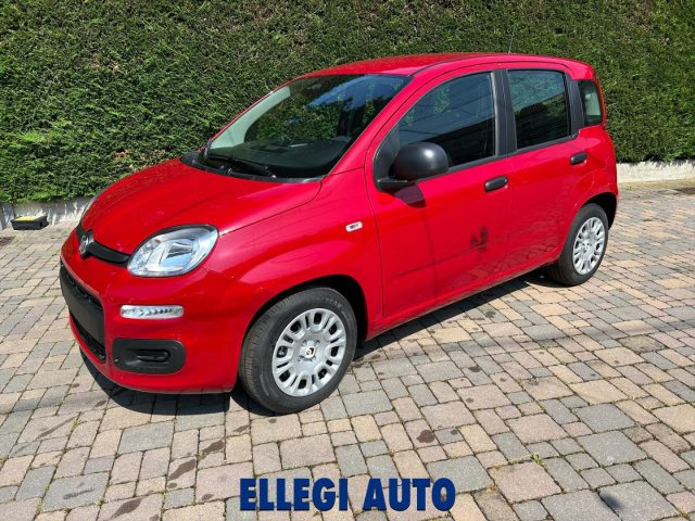 Fiat Panda 1.0 HYBRID ICON 5 posti KM 0 - foto 2 di 4
