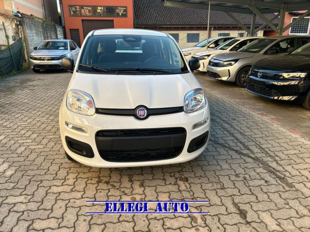 Fiat Panda PROMO FINANZ 1.0 HYBRID ICON KM 0 - foto 3 di 4
