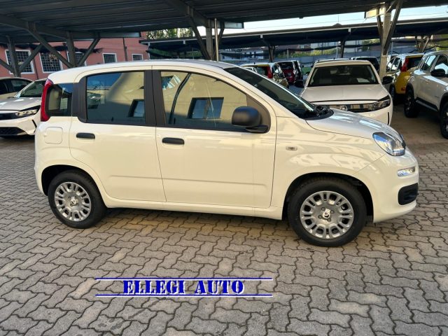 Fiat Panda PROMO FINANZ 1.0 HYBRID ICON KM 0 nuovo a CASTELLO DI ANNONE