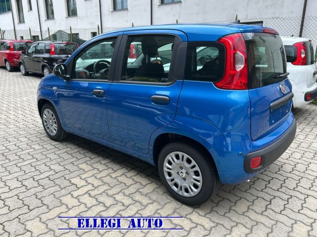 Fiat Panda 1.0 FireFly S&S Hybrid Icon KM 0 - foto 4 di 4
