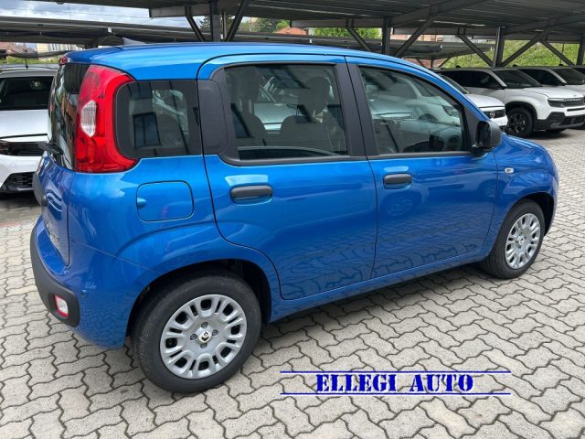 Fiat Panda 1.0 FireFly S&S Hybrid Icon KM 0 - foto 3 di 4