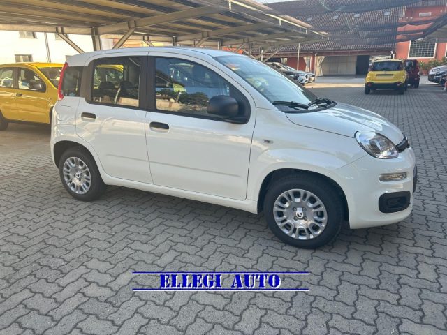 Fiat Panda 1.0 HYBRID ICON 5 posti KM 0 nuovo a CASTELLO DI ANNONE