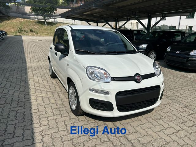 Fiat Panda 1.0 HYBRID ICON KM 0 - foto 3 di 4