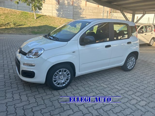 Fiat Panda PROMO FINANZ. 1.0 HYBRID ICON 5 posti KM 0 - foto 3 di 4