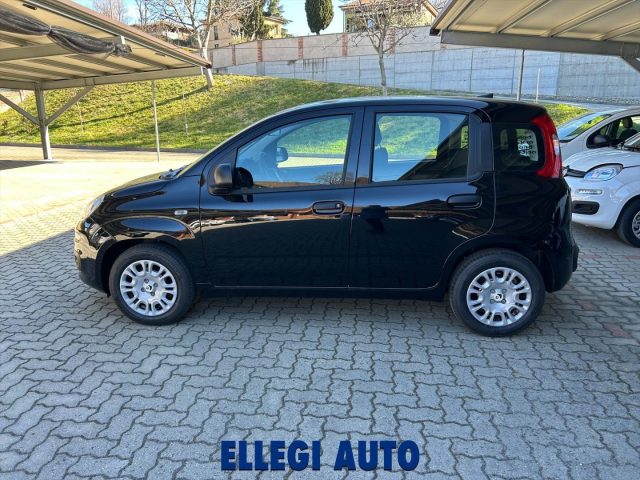 Fiat Panda PROMO FINANZ 1.0 HYBRID ICON KM 0 nuovo a CASTELLO DI ANNONE