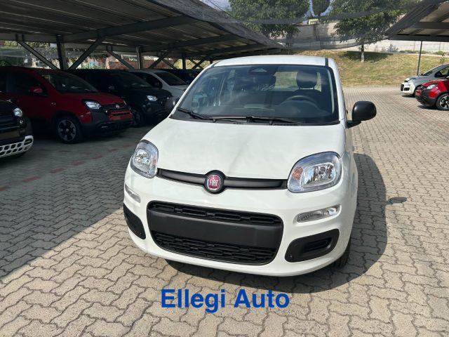 Fiat Panda PROMO FINANZ 1.0 HYBRID ICON KM 0 nuovo a CASTELLO DI ANNONE