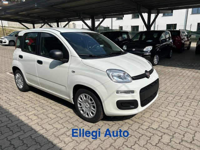 Fiat Panda PROMO FINANZ 1.0 HYBRID ICON KM 0 nuovo a CASTELLO DI ANNONE