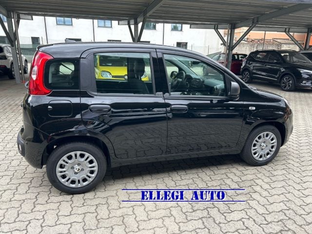 Fiat Panda 1.0 HYBRID ICON 5 posti KM 0 - foto 4 di 4