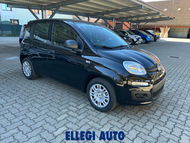 Fiat Panda 1.0 HYBRID ICON KM 0 nuovo a CASTELLO DI ANNONE