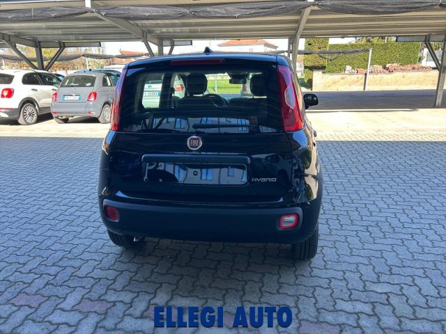 Fiat Panda 1.0 HYBRID ICON KM 0 - foto 4 di 4