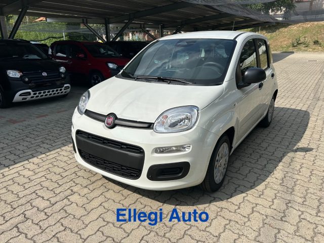 Fiat Panda 1.0 HYBRID ICON KM 0 - foto 2 di 4