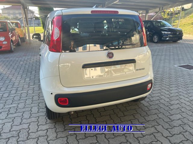Fiat Panda PROMO FINANZ. 1.0 HYBRID ICON 5 posti KM 0 - foto 4 di 4