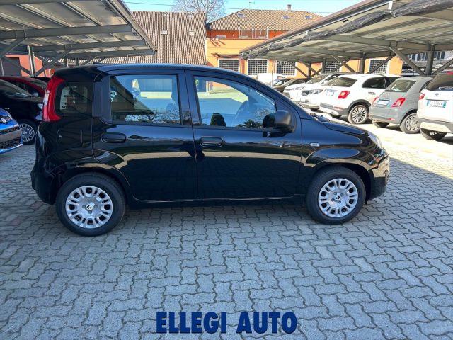 Fiat Panda PROMO FINANZ 1.0 HYBRID ICON KM 0 - foto 3 di 4