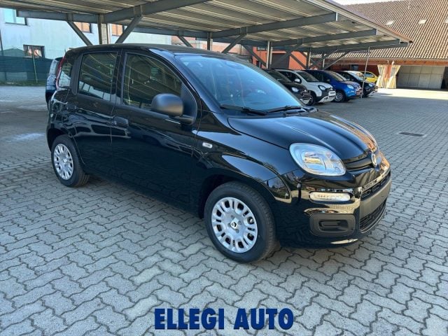 Fiat Panda 1.0 HYBRID ICON KM 0 nuovo a CASTELLO DI ANNONE