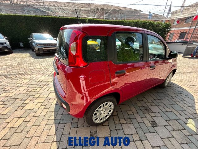 Fiat Panda PROMO FINANZIAMENTO 1.0 Hybrid Icon KM 0 - foto 3 di 4