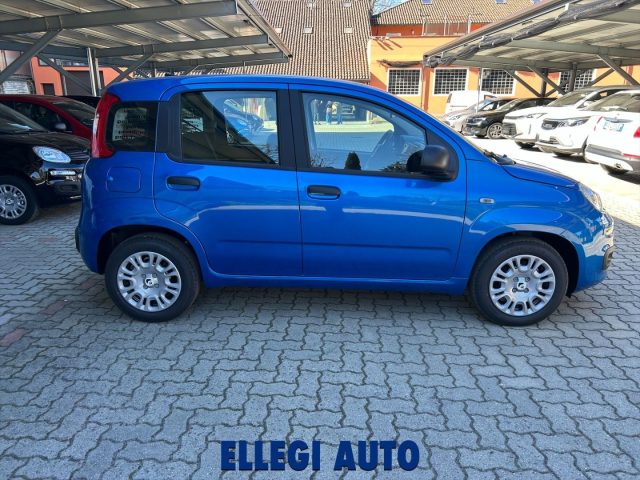 Fiat Panda 1.0 HYBRID ICON KM 0 - foto 4 di 4
