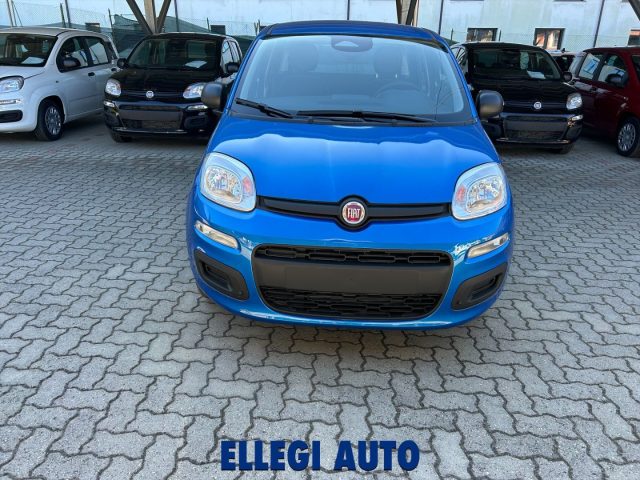 Fiat Panda 1.0 HYBRID ICON KM 0 - foto 3 di 4