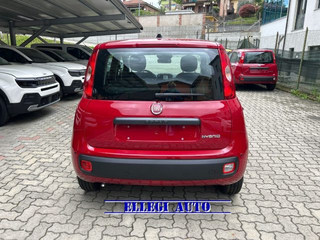 Fiat Panda 1.0 HYBRID ICON KM 0 - foto 4 di 4