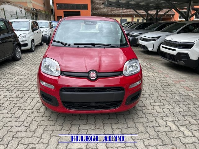 Fiat Panda 1.0 HYBRID ICON KM 0 nuovo a CASTELLO DI ANNONE