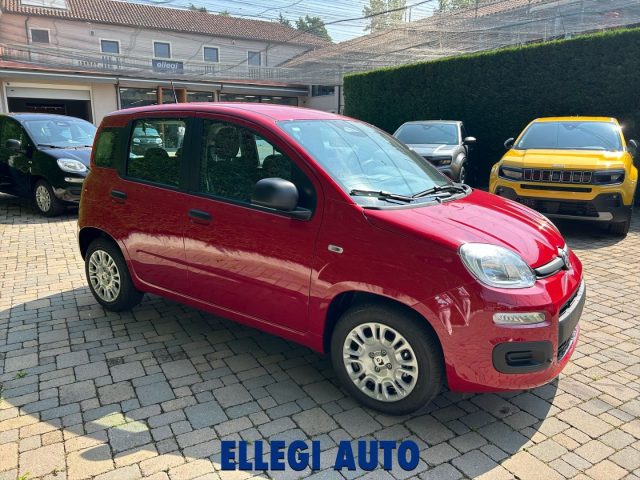 Fiat Panda 1.0 Hybrid Icon KM 0 - foto 2 di 4