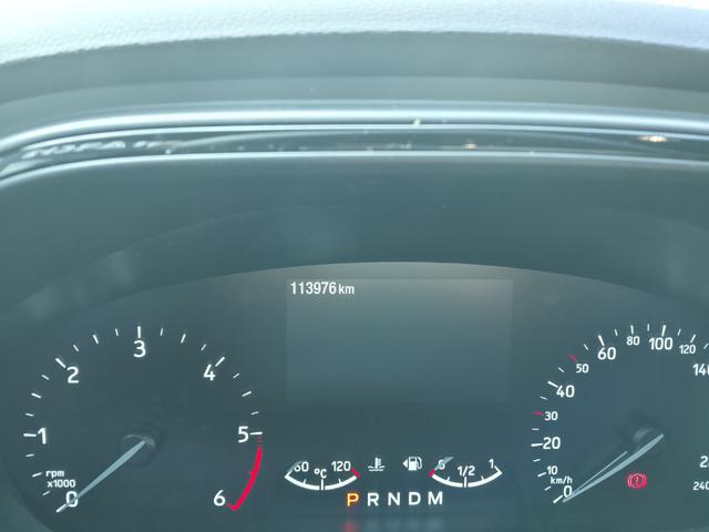Ford Focus 2.0 EcoBlue 150 CV c.auto ST-Line Co-Pilot my2020 - foto 4 di 4