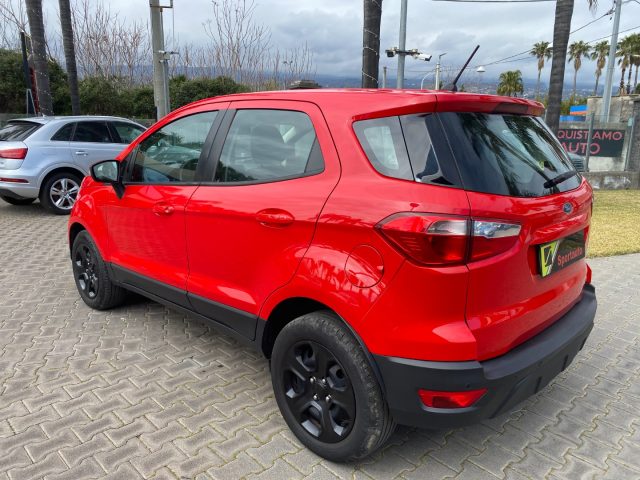 Ford EcoSport 1.5 TDCi 100 CV Start&Stop Business usato a GIARRE