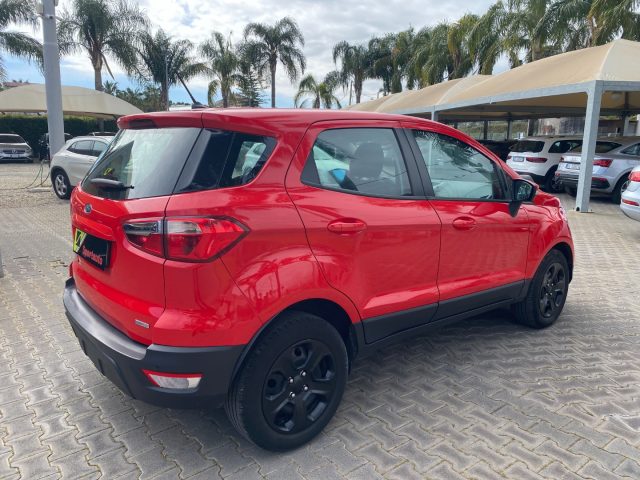 Ford EcoSport 1.5 TDCi 100 CV Start&Stop Business usato a GIARRE