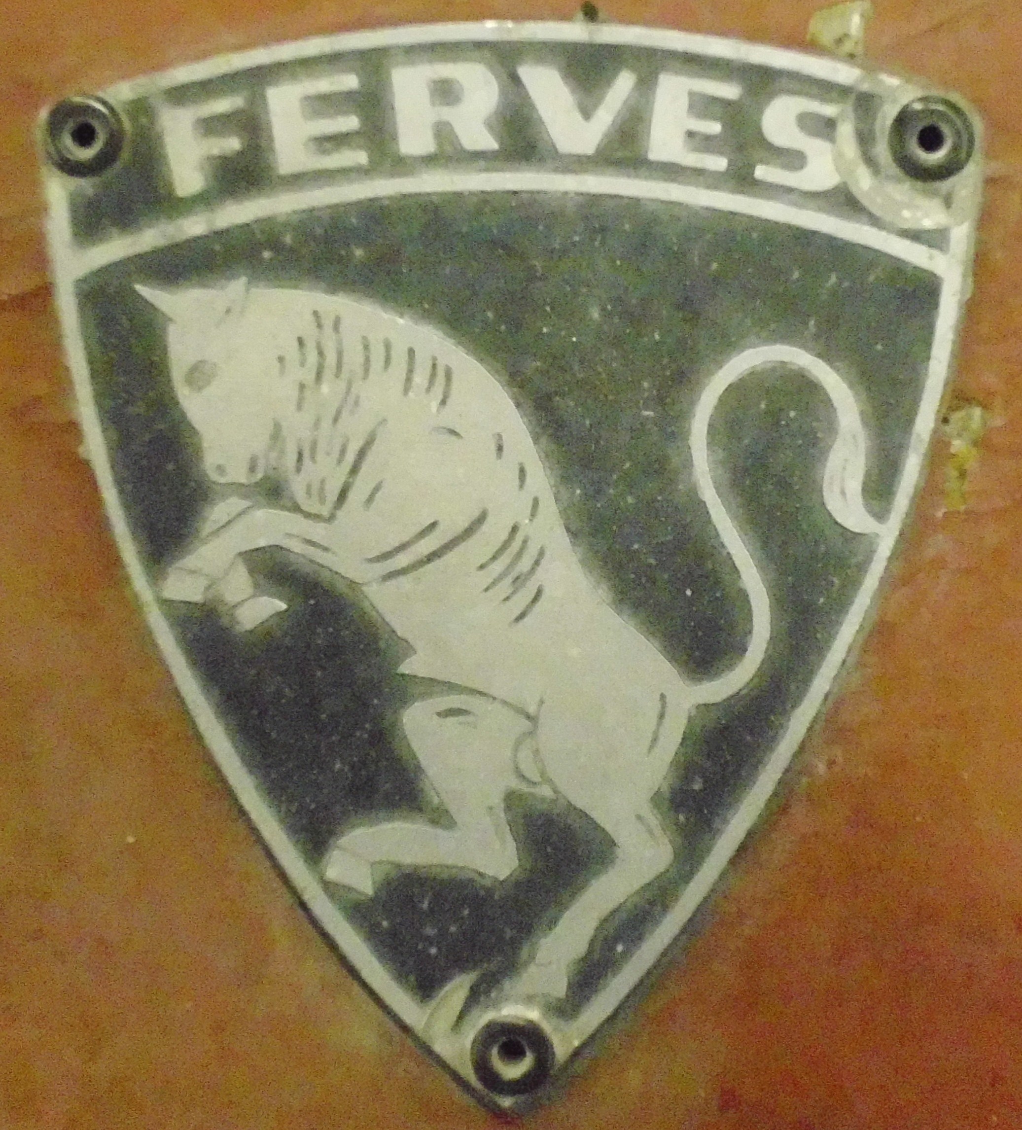 Logo FERVES